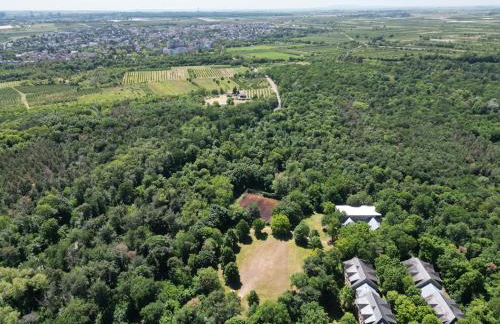 Ferienhaus Budenheim - Foto 35