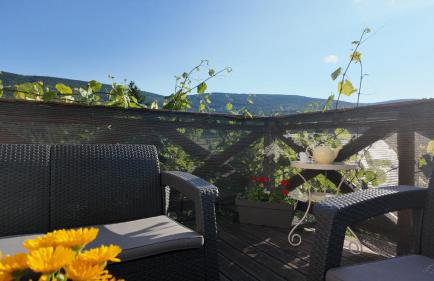 Strefa Ciszy -Lawenda - Foto 11