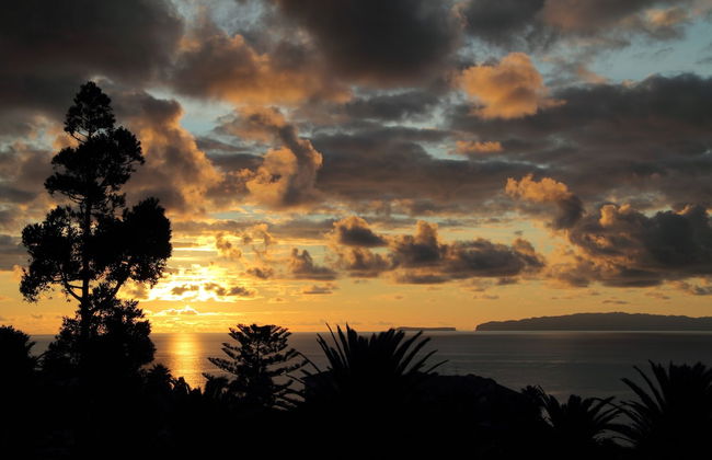 Caniço Bay Club - Foto 37