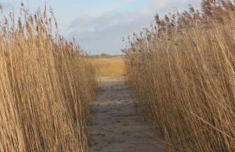 Ferienwohnung Monteurwohnung DeichBrandt - Foto 23