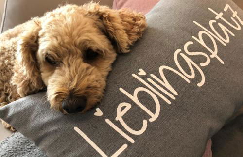 Ferienhaus Hilgenhuus - Foto 11