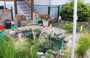 Gîte les chiwawas d'Alsace - Foto 14