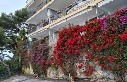 Capo Cervo - Rocce di Capo Mimosa - Foto 22