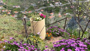 Tropical House - Foto 5