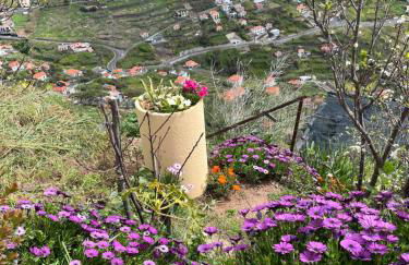 Tropical House - Foto 5