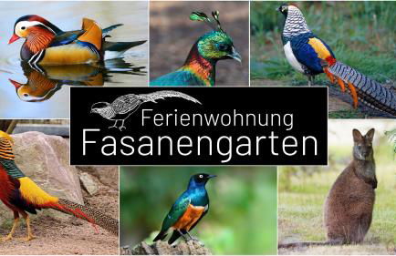 Fasanengarten in Traunreut - Photo 1