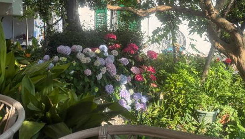 Apartments Anica - Foto 2, Garden