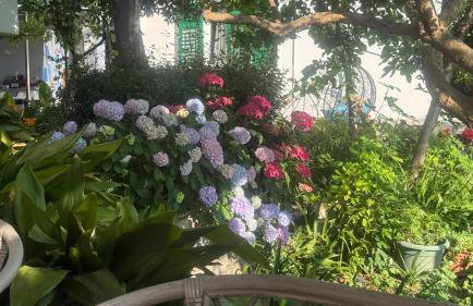 Apartments Anica - Foto 2