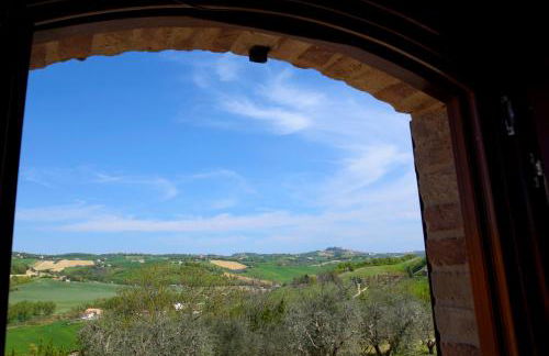 L'Oasi di Pierino - Foto 14