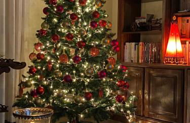 Casa D'Os Reais - Foto 1