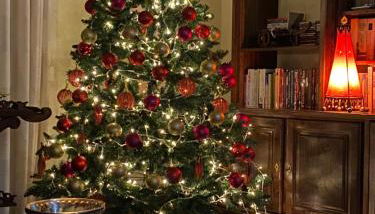 Casa D'Os Reais - Foto 1