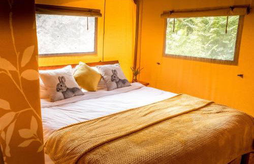 Tent 2 Tangleweood - Ukc4717 - Foto 14