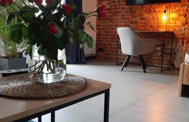 Apartamenty Gliwice Staromiejska 65 - Foto 1