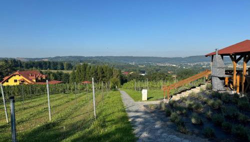 Willa Winnica Maria Anna - Foto 3