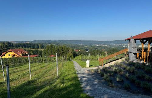 Willa Winnica Maria Anna - Foto 3