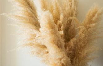 NEW Villa Tosca - Foto 43