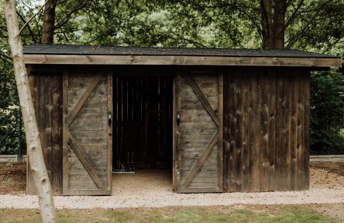 Rowerowe domki - Foto 10