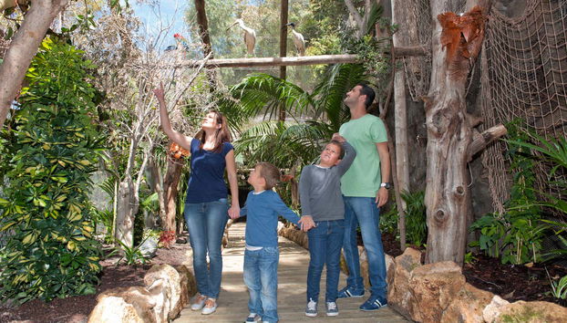 Día en familia en el Jungle Park