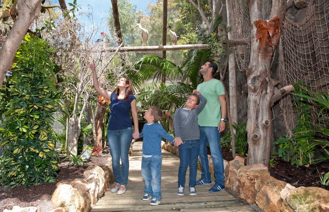 Jungle Park - Foto 5