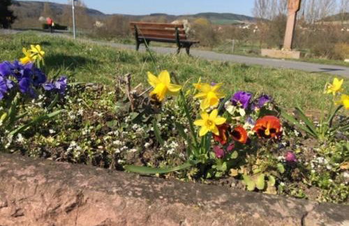 Tauber Sonnen Lodge - Foto 33