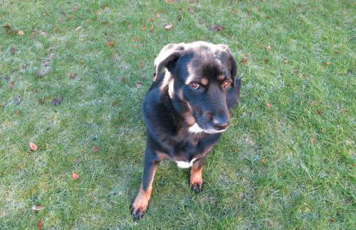 Wohnung für Liebhaber - gerne auch mit Kindern - Foto 22