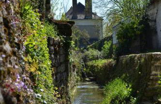Gîte authentique près Zoo de Beauval et Châteaux - Photo 9