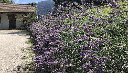 Grande maison familiale dans le massif des Bauges - Foto 3, Garden view