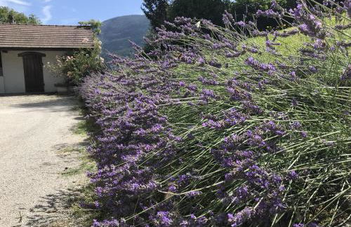 Grande maison familiale dans le massif des Bauges - Foto 3