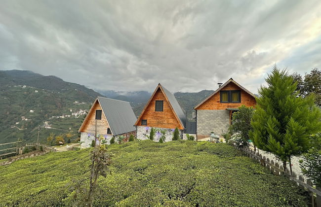 ELVA BUNGALOV - Foto 37