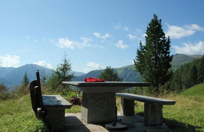 Flachauer Bergkristall - Foto 27