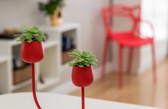 Charming Terrace Studio Split - Photo 3