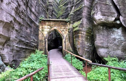 Marina Arka Noego - Foto 12