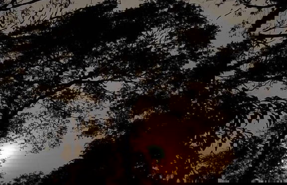 Guarda Garden Cabanas - Photo 9