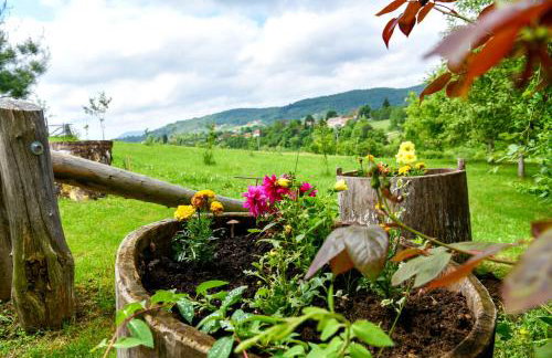 Apartman Jakov - Foto 22