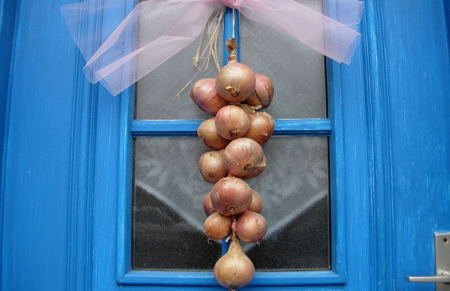 Stone House in Brittany Near Roscoff & Beaches - Foto 21