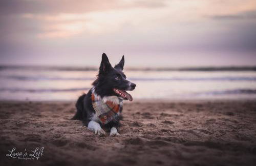 2 Middlecombe - Luxury Apartment at Byron Woolacombe, only 4 minute walk to Woolacombe Beach! - Photo 38