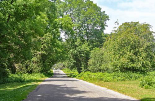 Annies Cottage - Foto 16