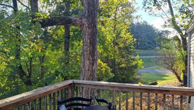 Kat's Get Away Cabin - Foto 5