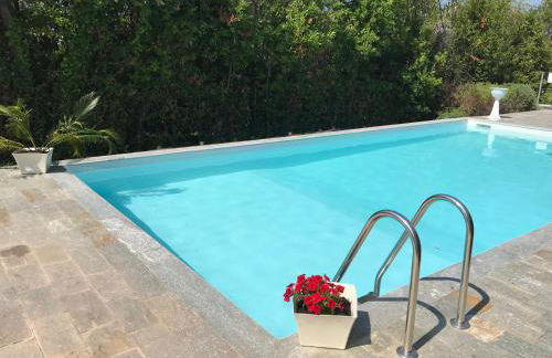 Minnie's Place - Photo 33