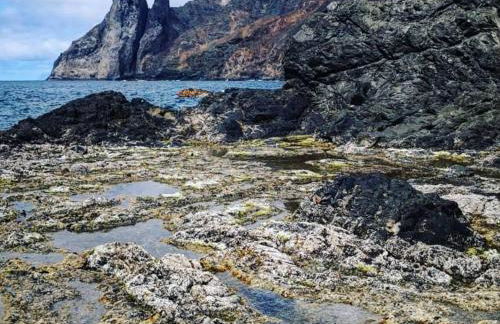 Casa rural Los Órganos de Arguamul - Foto 34