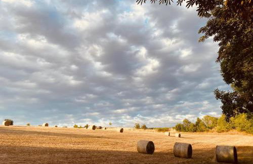 Ferienwohnung Moneblümchen - Foto 28