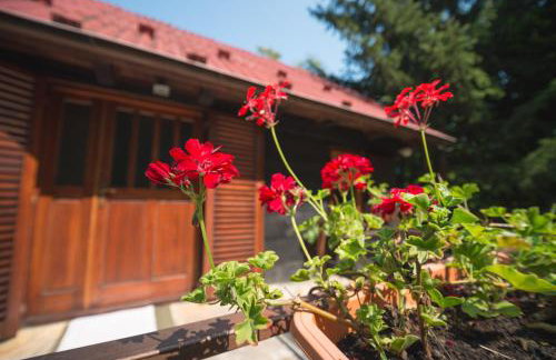 Cabin In The Woods Vukelic - Photo 25