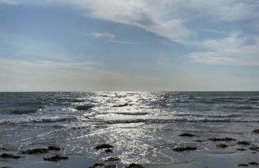 Les ptits marins cordés - Photo 8