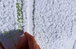 E s s e n t i a l Pompei - Foto 25