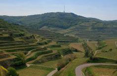 Gästehaus Casa Luna - Paradiesische Ferienwohnungen am Kaiserstuhl! - Foto 36