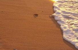 MARIA cozy apartments - Foto 19