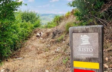 Casa SuasDuas - Foto 23