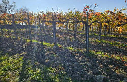 appartement Barbera - Foto 33