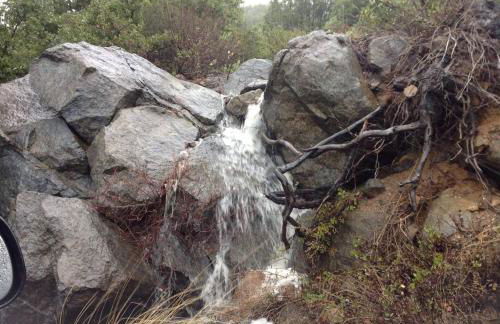 A LIVING CANVAS Amazing Lake View Custom Home - Foto 16