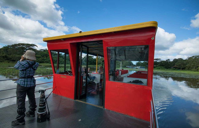 Excursão a Caño Negro - Foto 7